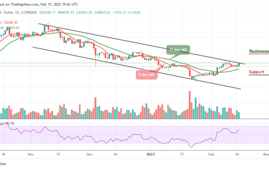 Bitcoin Price Prediction