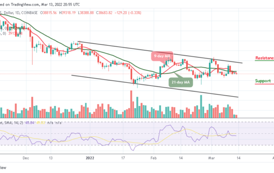 Bitcoin Price Prediction