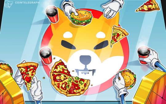 Shiba Inu blacklists user for drawing hate symbol with metaverse land