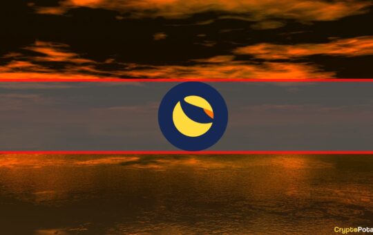 Risk-Aversive Bets Reigned Amid Terra's Notorious Plunge (Report)