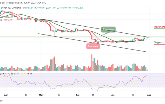 Bitcoin Price Prediction