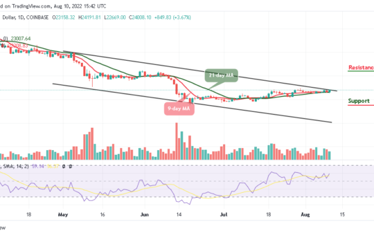Bitcoin Price Prediction