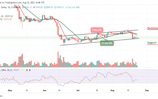 BTC Targets $22,000 Resistance But Tamadoge Stands Firm at the Upside