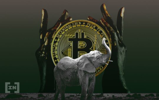 Crypto Companies Raising Funds to Purchase Oil and Gas Exploration Blocks in the DRC