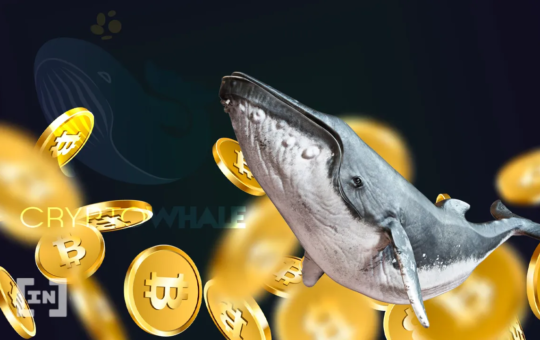 Bitcoin Whale: New Player Buys Three Billion Dollars’ Worth of BTC