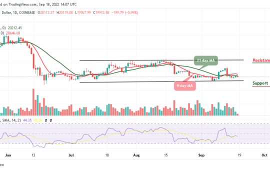 BTC Falls Below $20,000; FOMO on TAMA