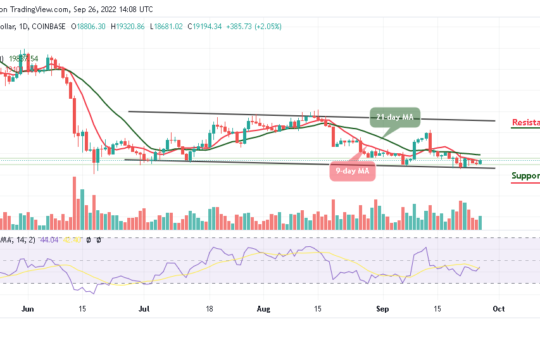 BTC Fights for $19K, TAMA Keeps Trending