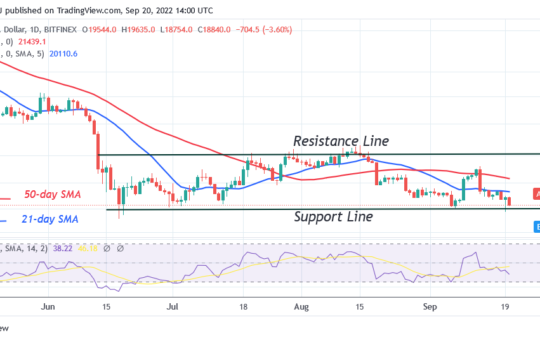 Bitcoin Price Prediction for Today September 20: BTC Price Hovers above $18.6K Low