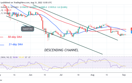 Bitcoin Price Prediction for Today August 31: BTC Price Is in a Confined Range as It Fluctuates Below $20K