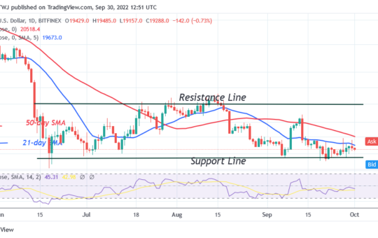 Bitcoin Price Prediction for Today September 30: Btc Price Trades Marginally as It Hovers above $19K