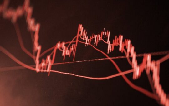 Crypto Bankruptcies Have Generated a Wave of New Accounting Clients for Armanino