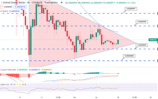 Shiba Inu Price Prediction – Can SHIB Reach $1 in the Next Bull Market?