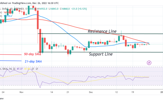Bitcoin Price Prediction for Today, December 26: BTC Price Remains Stable and Consistent above $16K