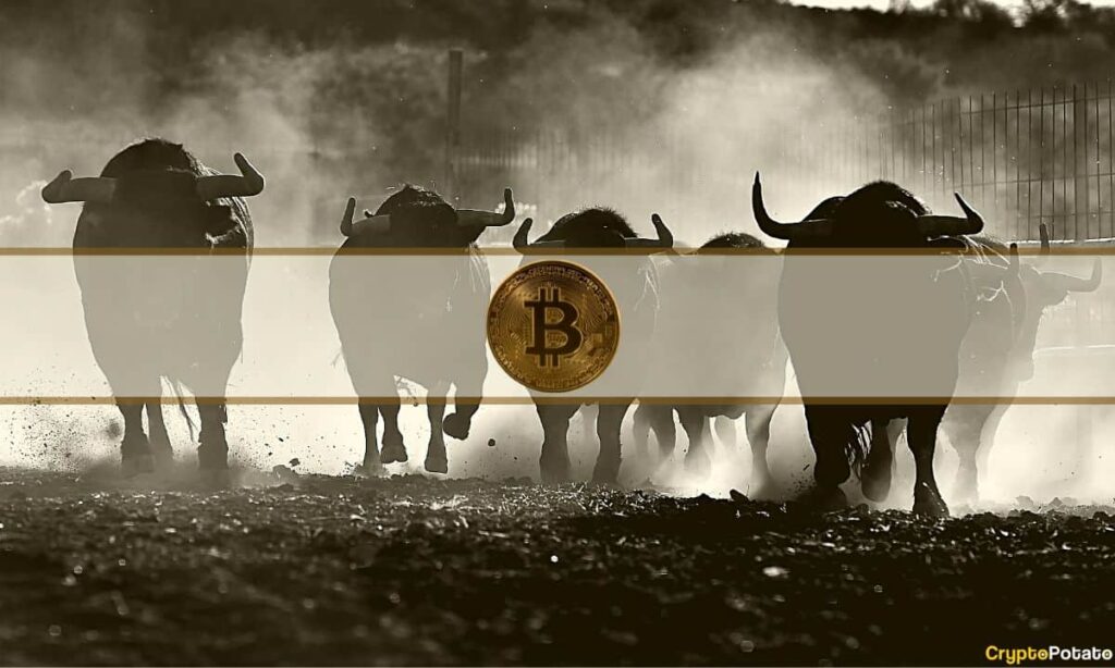 Fundamental Reasons to Be Bullish Despite the 66% Drop From Bitcoin's ATH: Researcher