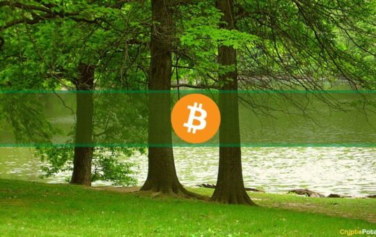 Bitcoin Price Smashes Through $30,000 Hitting 10-Month High