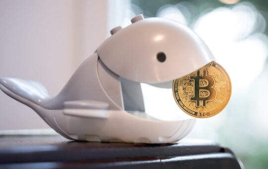 Bitcoin Whale Transfers $13 Million Worth of Dormant Coins Dating Back to 2012 and 2013