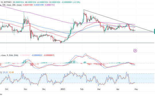 Shiba Inu Price prediction