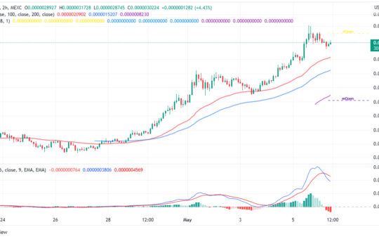 Pepe Coin Price Prediction