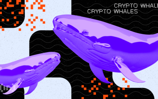 Shiba Inu Whales Buy Over 1 Trillion SHIB in Anticipation of Shibarium Launch