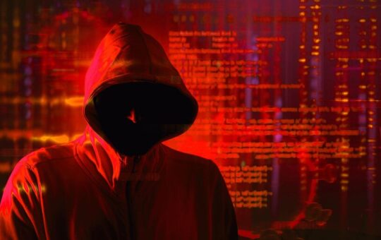 Token Founder Loses $250,000 and His House in Scam, Sues Crypto.com