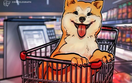 Why is Dogecoin price up today?