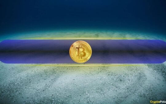 What Needs to Happen for Bitcoin to Mark a Local Bottom? CryptoQuant Reports