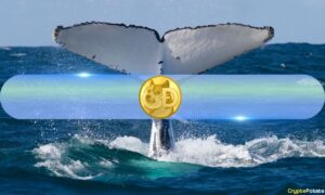 Whale Activity Backs Dogecoin's (DOGE) Surge Above $0.16: Data