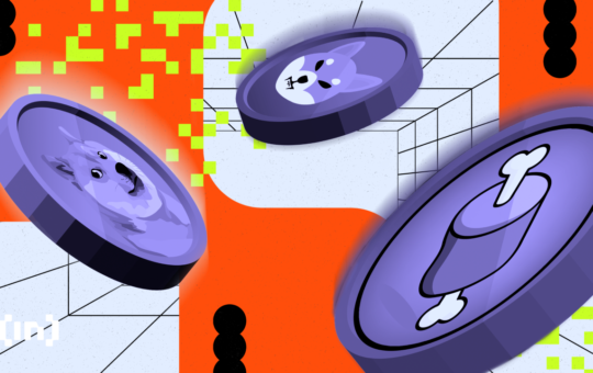 Behind the Scenes of Meme Coin Mania: Why Only 10% of Projects Dominate Fundraising