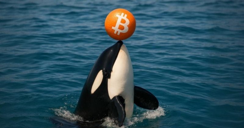 Galaxy Digital moves $447M in Bitcoin to exchanges, sparking sell-off speculation