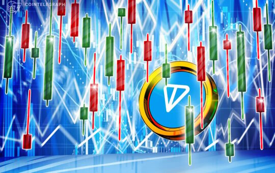 TON Coin Erases Some Gains After Golden Visa Clarification