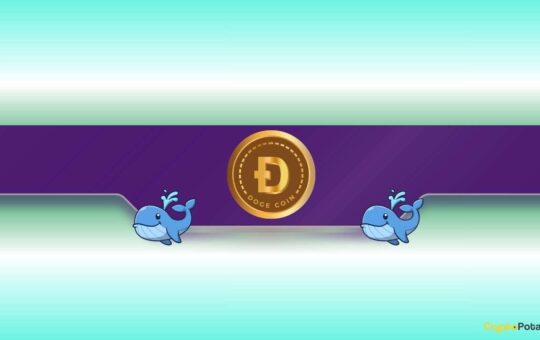 Dogecoin (DOGE) Whales Go Crazy: Further Price Rally Incoming?