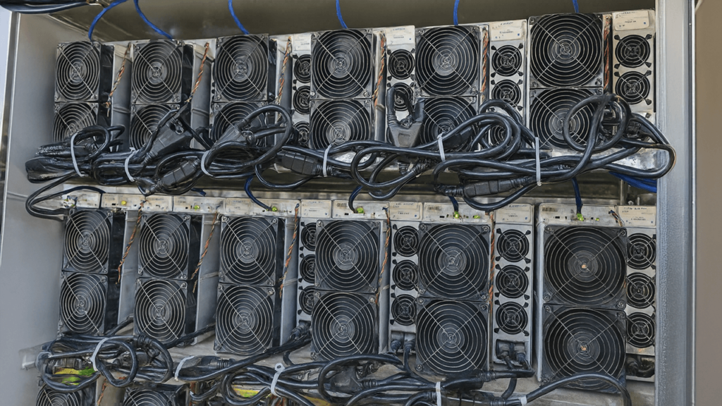 Inside the Powerhouse: The 50 Most Profitable Bitcoin Miners, Aug. 9-10, 2025