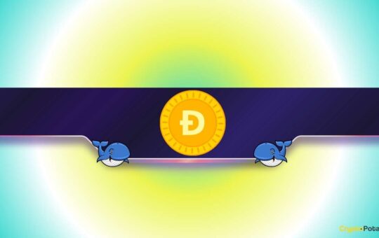 What Are Dogecoin Whales Preparing for?