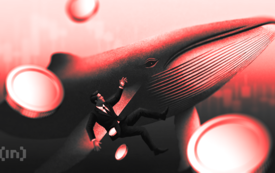 Investors Rotate to DUSK After Missing Privacy Coins Rally