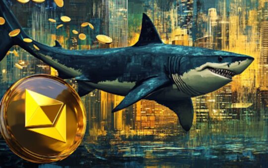 Coinpedia - Fintech & Cryptocurreny News Media