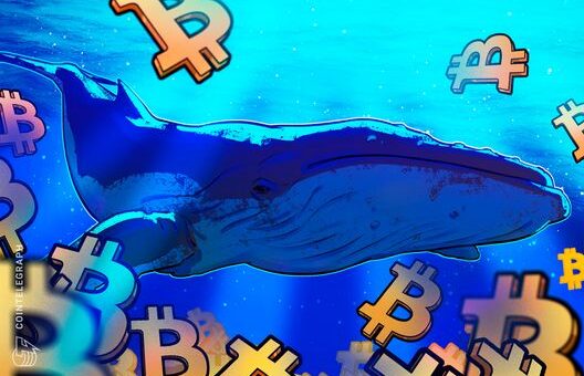 Bitcoin eyes $90K as whales absorb 20x daily BTC supply in 30 days